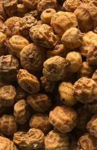 Tiger Nut