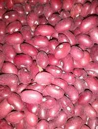 Red Kidney Beans