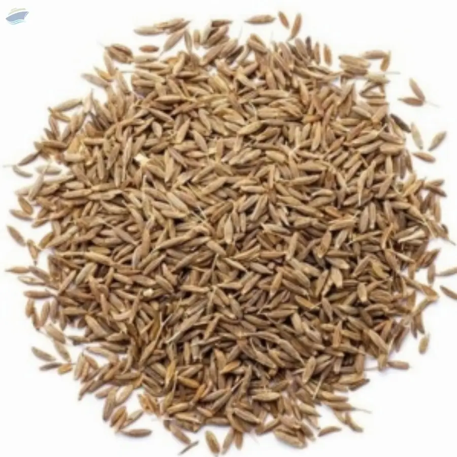 Cumin Seed by Parnavi Export. Supplier from India. Product Id 1631893.