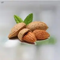 Bitter Almond Oil