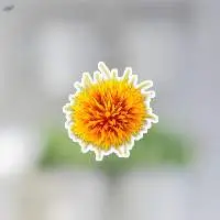 Safflower Oil