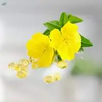 Evening Primrose Oil