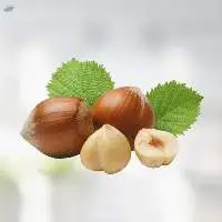 Hazelnut Oil