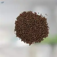 Mustard Oil