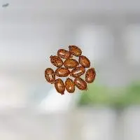 Castor Oil