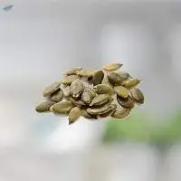 Pumkin Seed Oil