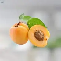 Apricot Seed Oil