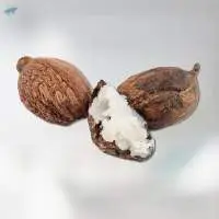 Shea Butter Oil