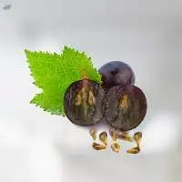 Grape Seed Oil