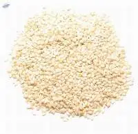 Sesame Seed