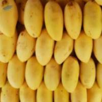 Fresh Mangoes