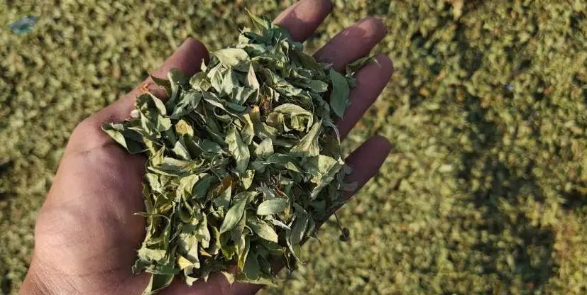 Henna Powder