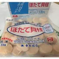 Frozen Scallop Meat