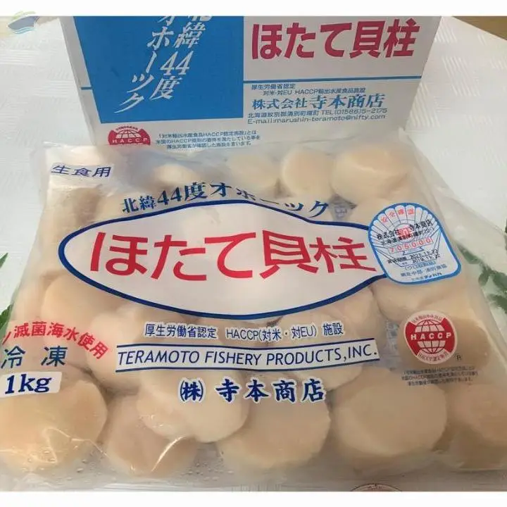 Frozen Scallop Meat