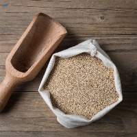 Teff Grain