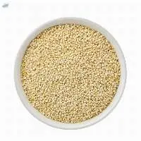 White Quinoa