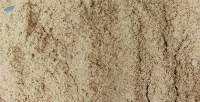 Rice Bran