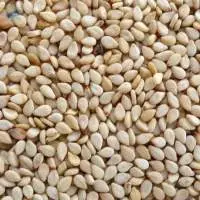 Sesame Seeds