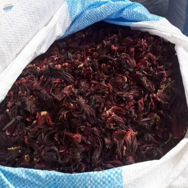 Hibiscus Sabdariffa