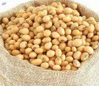 Soya Beans