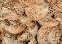 Wood Pellet