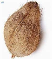 Dry Coconut