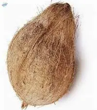 Dry Coconut