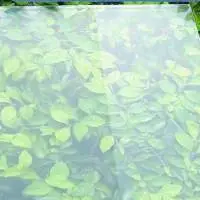 Solar Glass