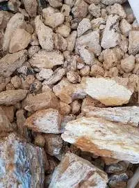 Damar Batu & Gum Copal