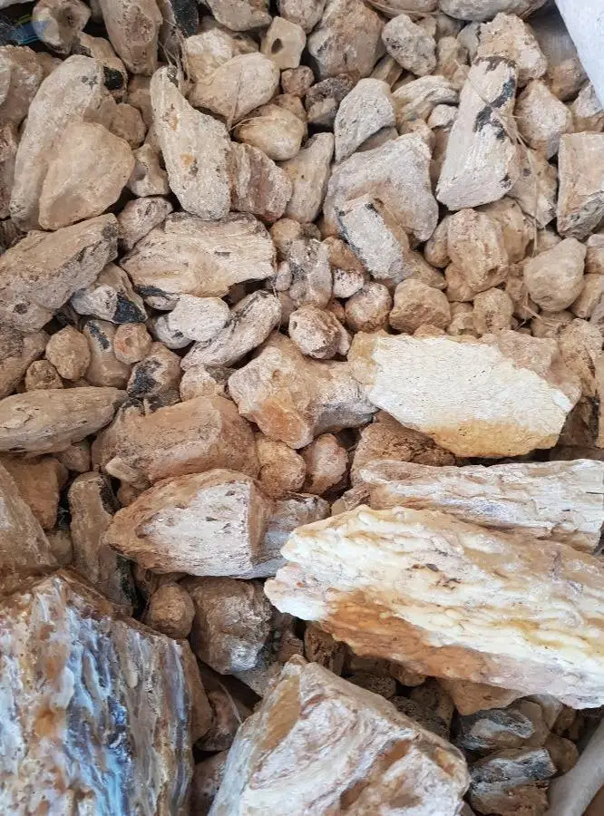 Damar Batu & Gum Copal