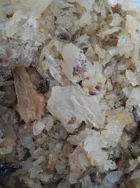 Gum Copal