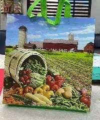 Non Woven Bags