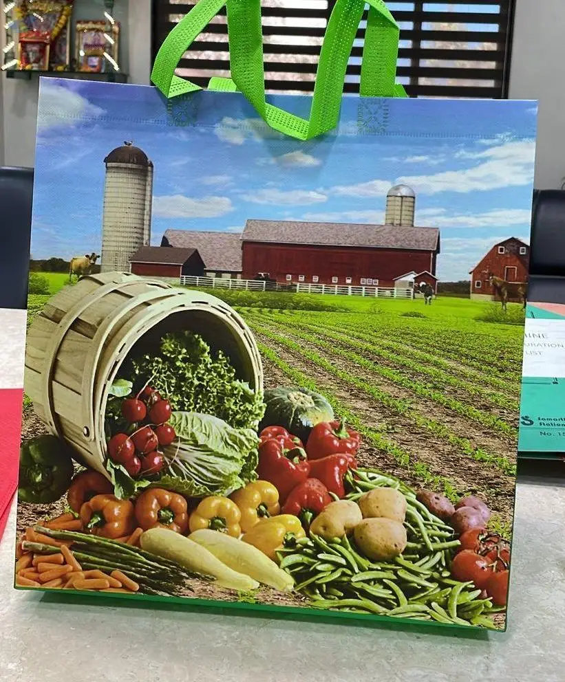 Non Woven Bags