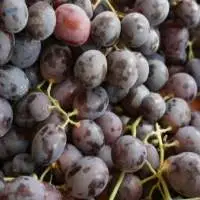 Black Grapes