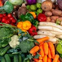 Fresh Vegetables