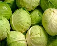 Cabbage