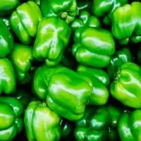 Green Pepper or Capsicum