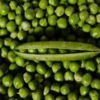 Green Peas