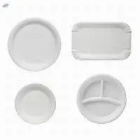 Disposable Cutlery Products