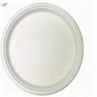 9" Round Plate