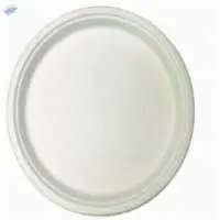 10" Round Plate