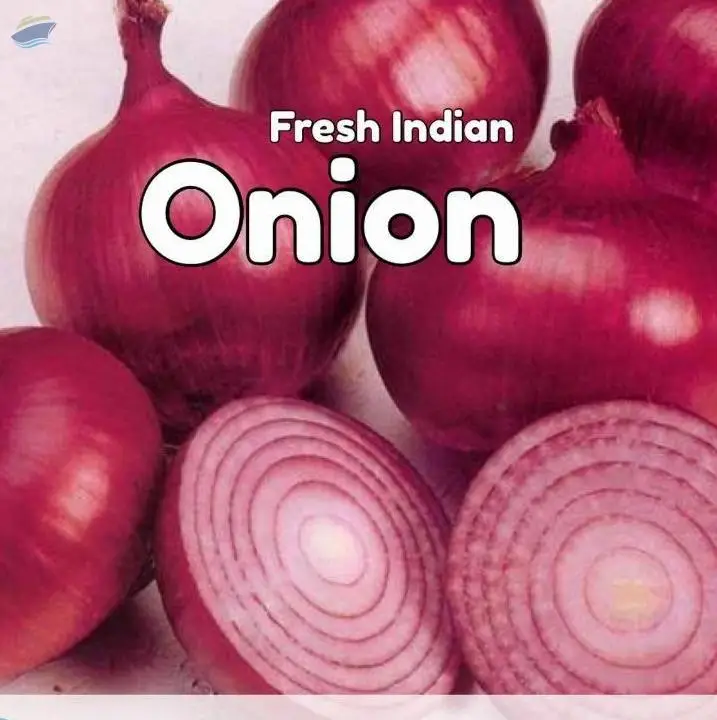 Onion