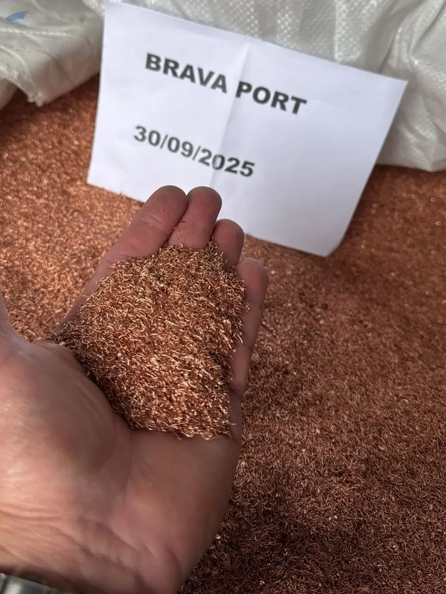 Copper Scrap