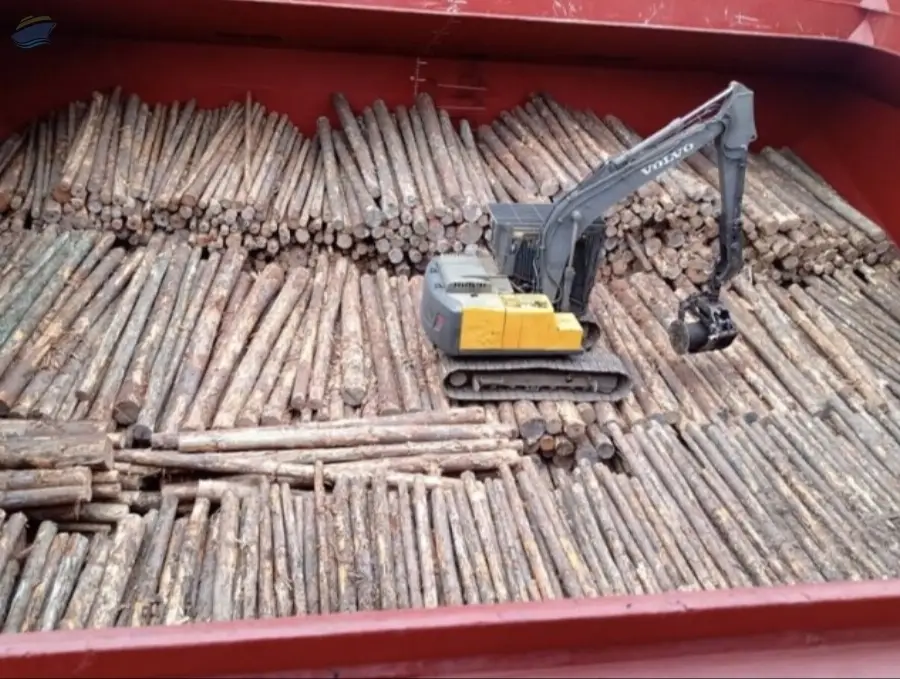 Eucalyptus Logs