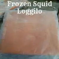 Frozen Squid