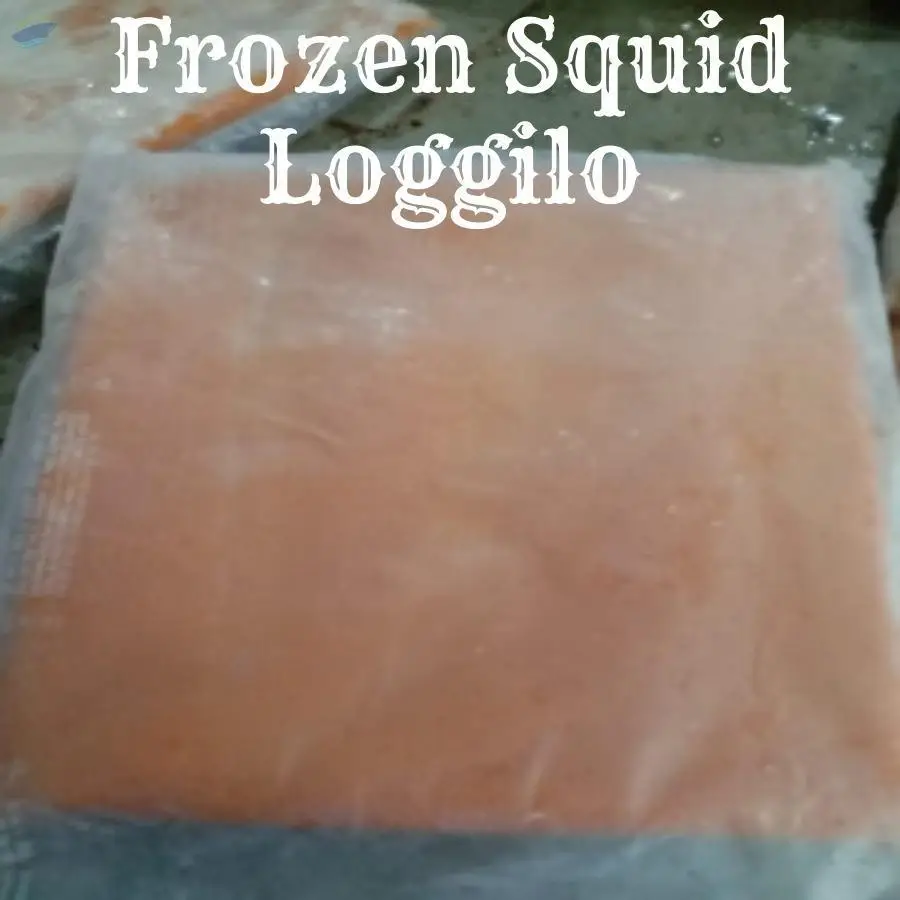 Frozen Squid