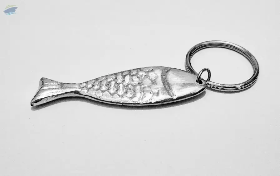 KR2995 Keyring