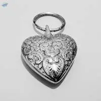 KR3147 Keyring