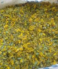 Senna Leaves And Powder