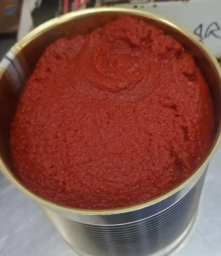 Tomato Paste